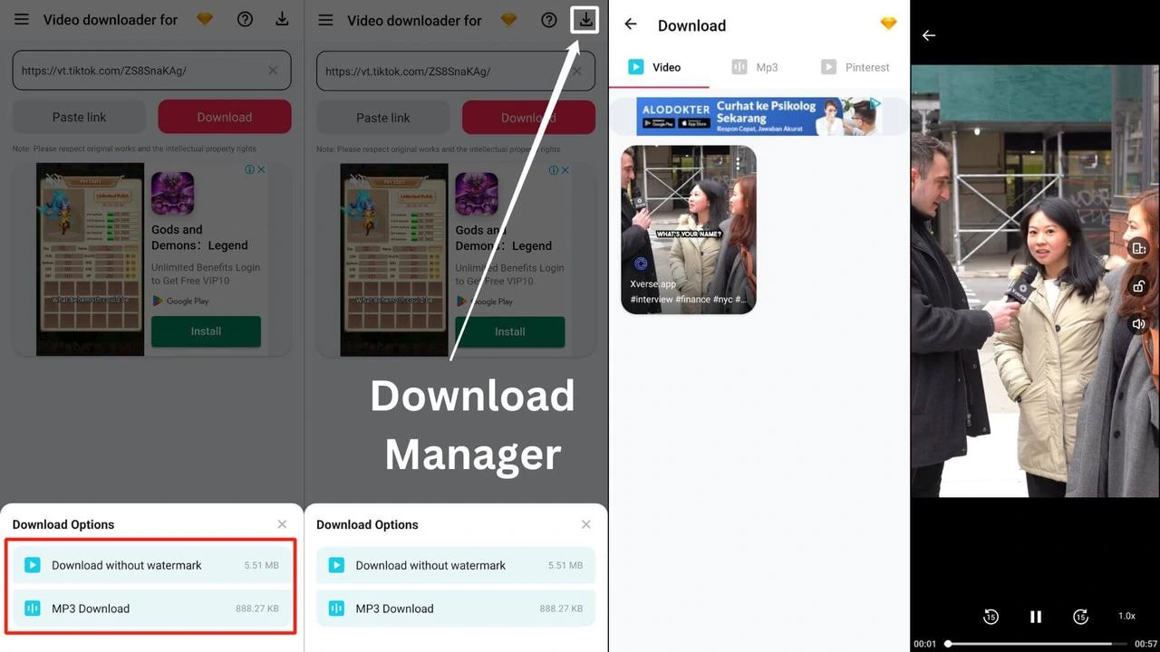 ETM TikTok Download Manager